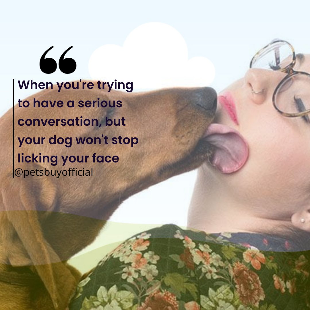 When you're trying to have a serious conversation while your dog won't stop licking your face

#DoggyDistractions #SeriousTalks #CanineAffection
#LickAttack #CommunicationChallenges #DogLove
#InterruptedByPaws #PuppyKisses #FaceLicker
#ConversationsWithPets #FurryFriendProblems