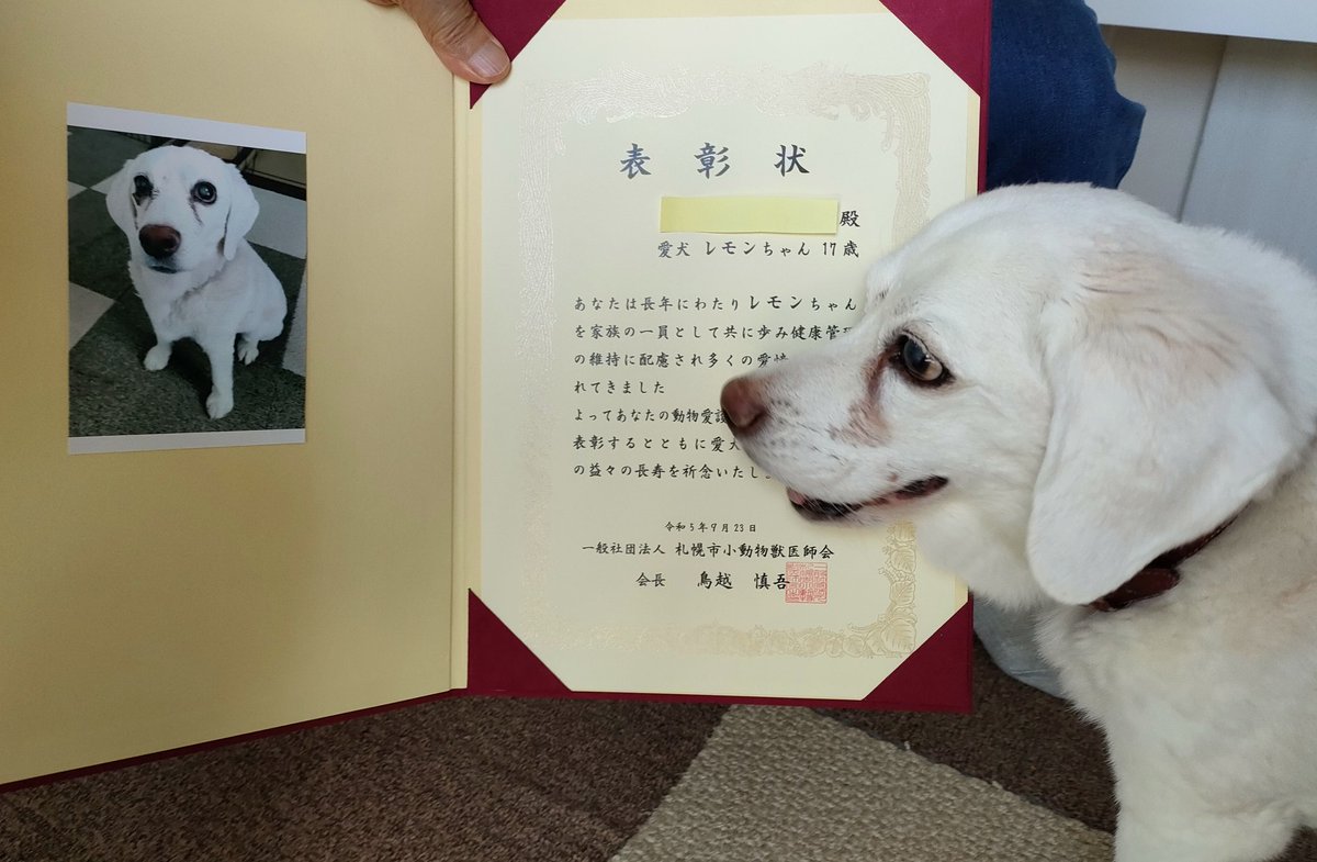 きゅーぴー tweet media