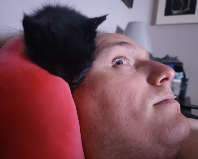 tiny_hat
