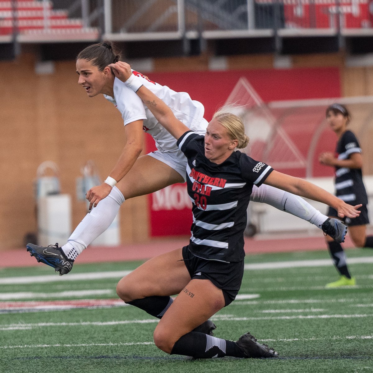 Stan Plewe tweet media