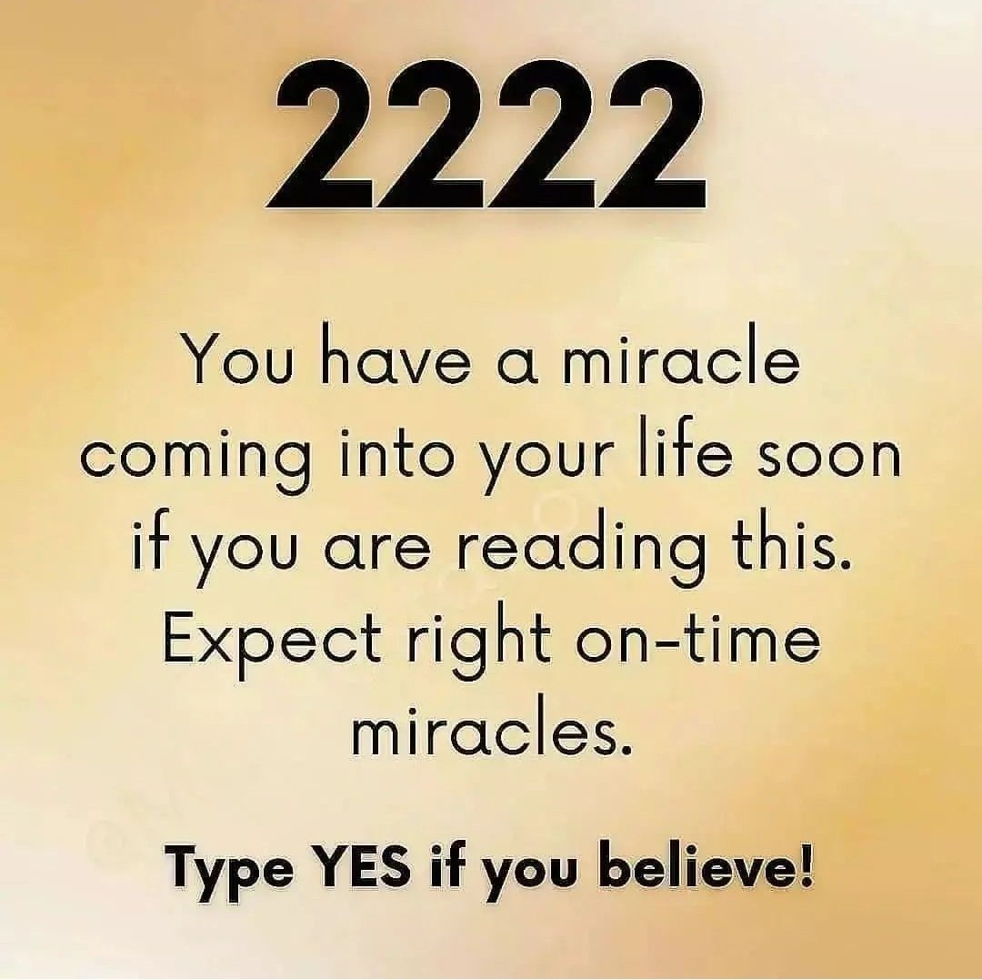 Inside Manifestation tweet media
