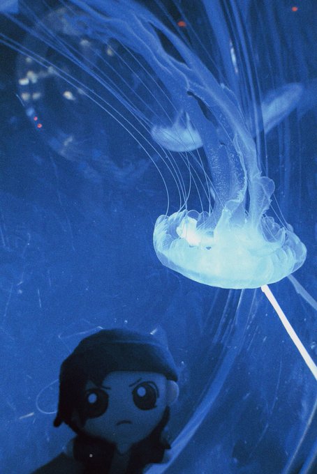 「1boy jellyfish」 illustration images(Latest)