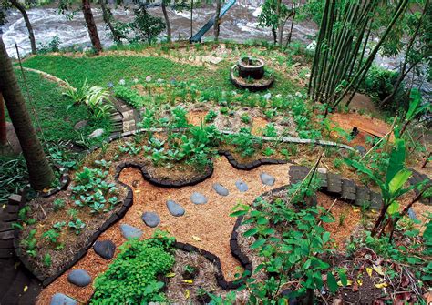 PlantingUp's tweet image. A Beginner’s Guide to Permaculture Gardening &amp;amp; Permaculture Principles dlvr.it/SwV8k0