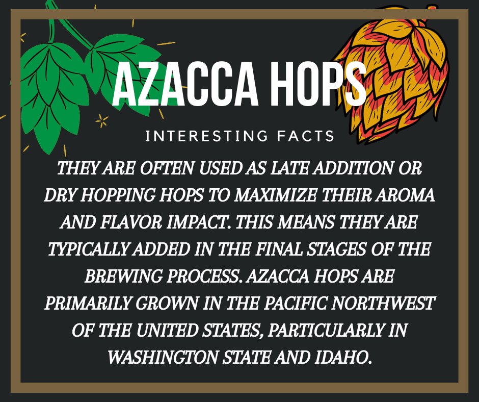 🌟 Dive into the tropical paradise of #AzaccaHops! 🏝️🍻 From mango to citrus, these hops are the flavor heroes in your favorite brews. Join us on a hoppy adventure! #CraftBeer