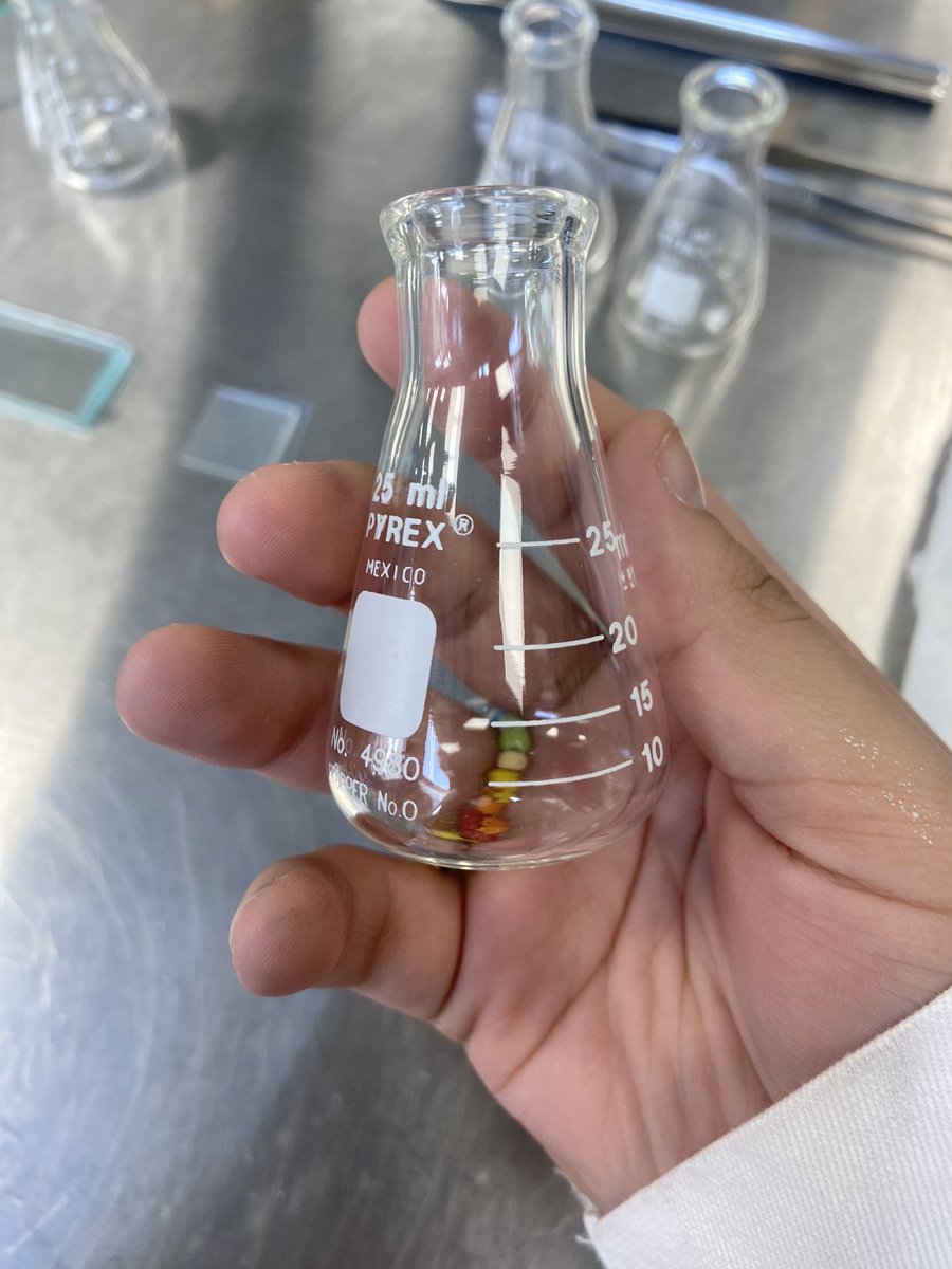 Julietamonroy7's tweet photo. How cute this little Erlenmeyer Flask🫰🏻🥰🔬🌿🍄 #ciencia #ingieneria #biotecnology #tecnology #Science #littlethings #apreciation https://t.co/LMqmFFfN28