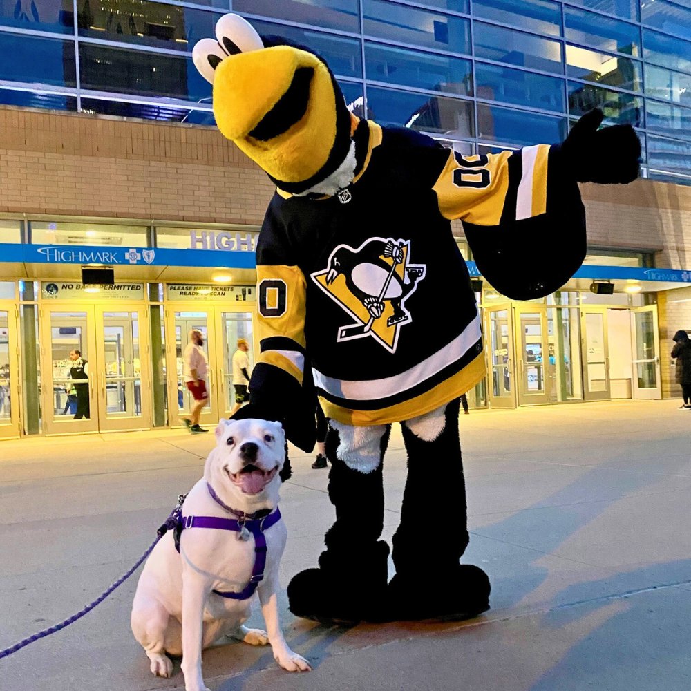 Mario Lemieux tweet media