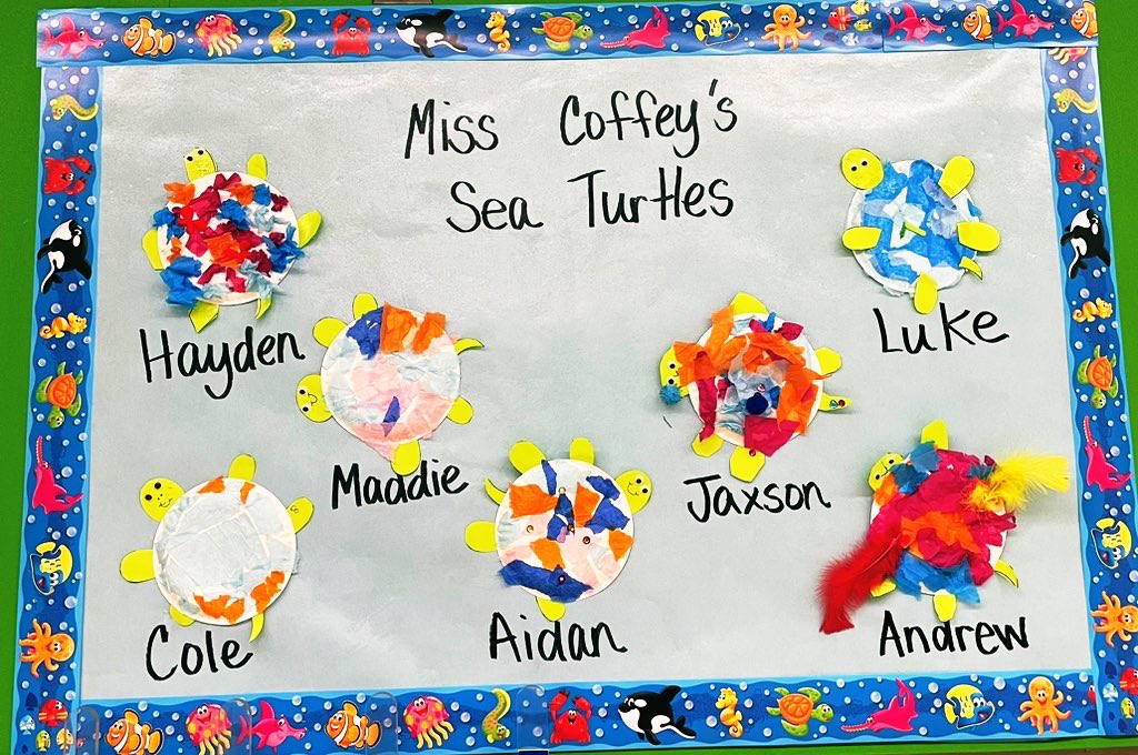 It’s a great day to be a sea turtle! 🐢 #JCSisthebest