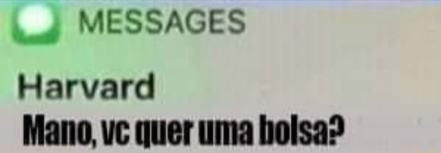 vlucasrocha tweet picture