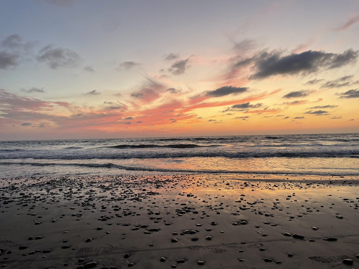 MS4s applying into #radonc #Match2024 and going to #ASTRO23, join us for a meet and greet on Sunday to meet residents and program (and get pro tips on the best sunsets/beaches in San Diego, like #torreypines). RSVP below.