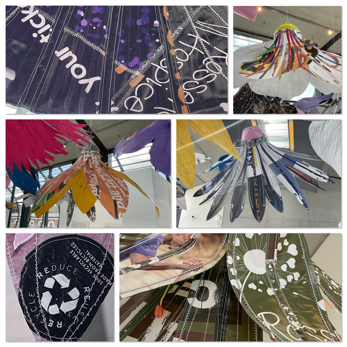 Ruth Moilliet tweet media