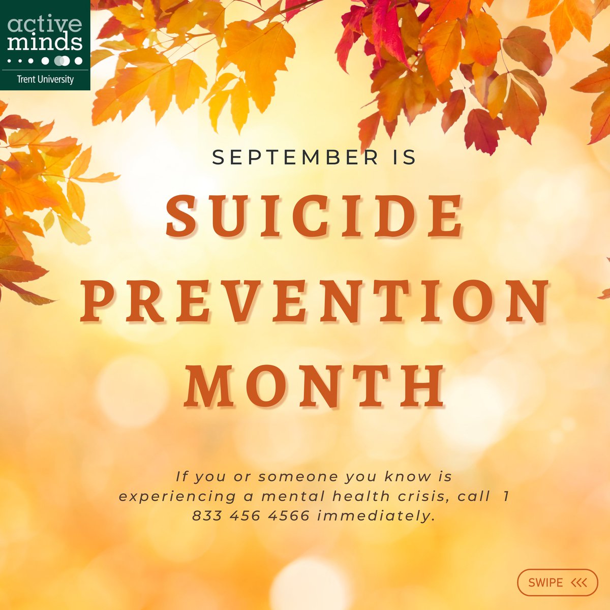 Trent Active Minds tweet media