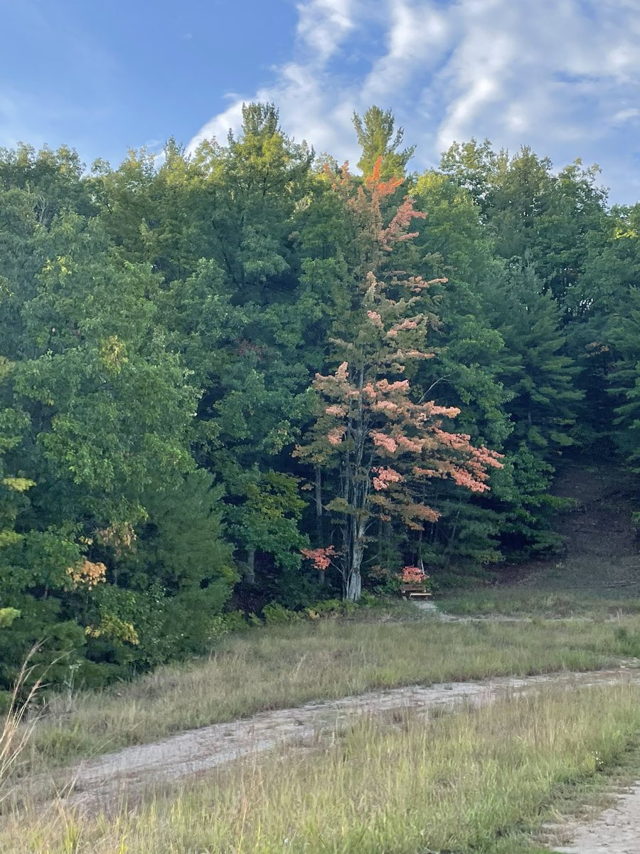 cryptogirl💋 tweet media