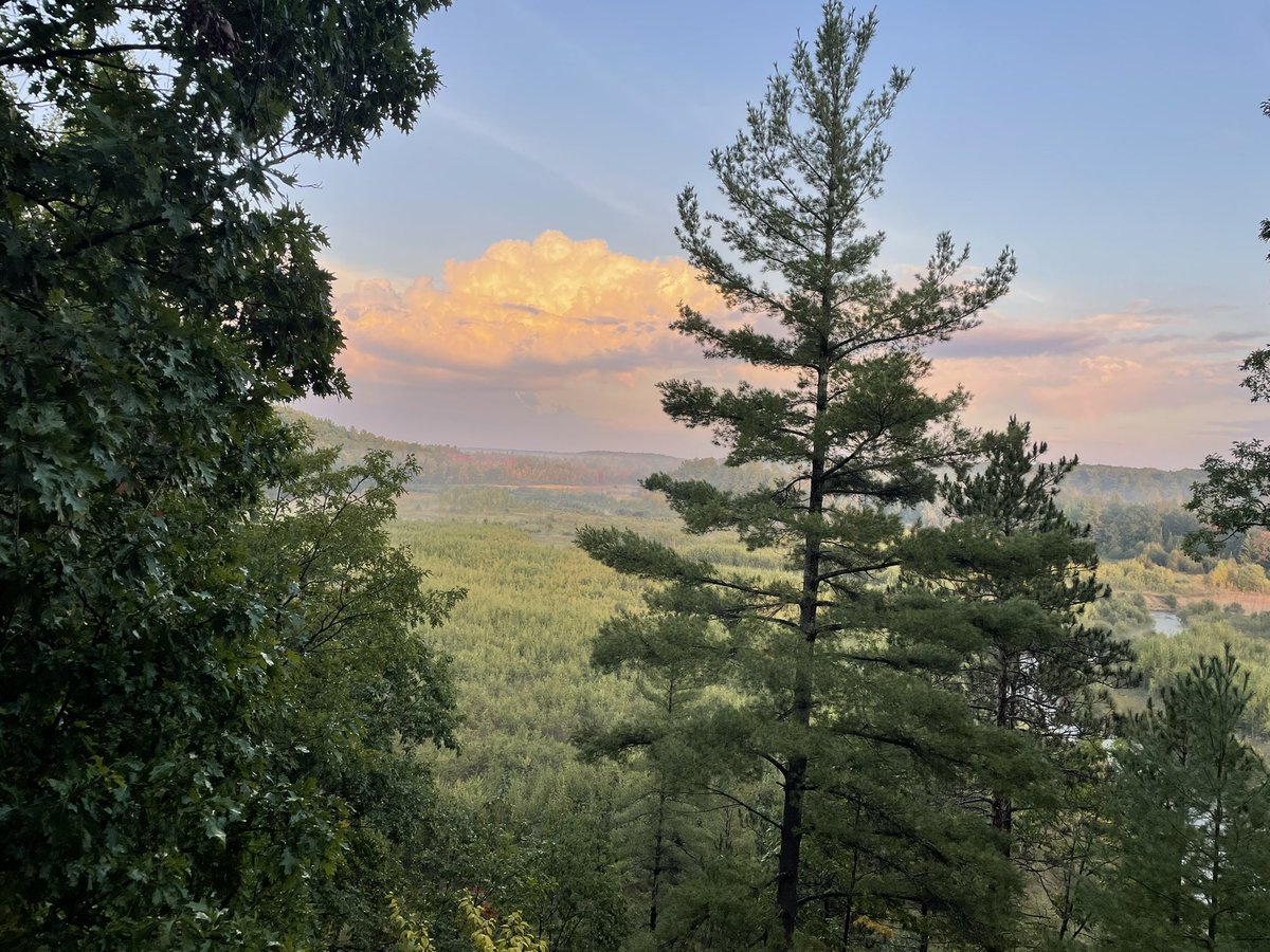 cryptogirl💋 tweet media