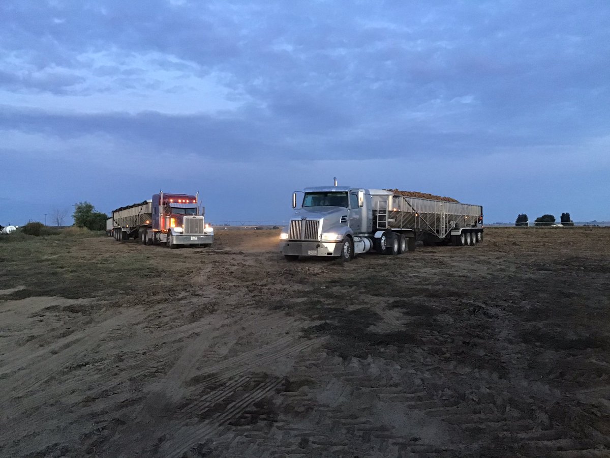 TheDailyCowman's tweet image. The “other” #FallRun soon to be French fried pertaters

With @RodDavisSixD