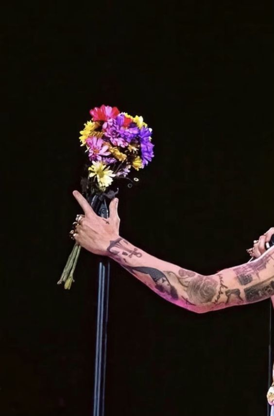 harry on tour (@heslotarchive) on Twitter photo 