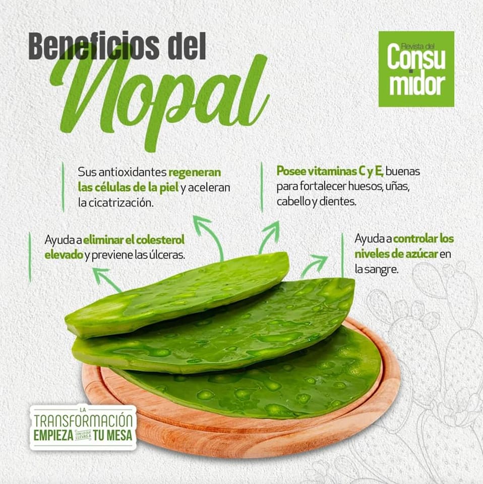 Profeco's tweet photo. 🌵#Nopal, planta que documenta la historia de México.🇲🇽
💚Conoce sus propiedades y los beneficios que trae a nuestra salud al consumirlo.
#ComeSaludable #ConsumeVariado https://t.co/Pxi9usEKOE