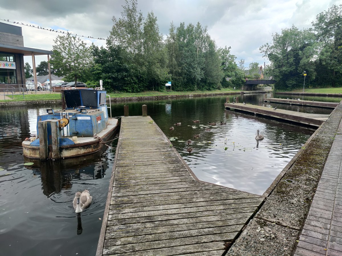 #Welshpool Canal 📷 🦢 #Powys #Wales #Montgomeryshire #photography #photographer #PhotographyIsArt #photo #NaturePhotography