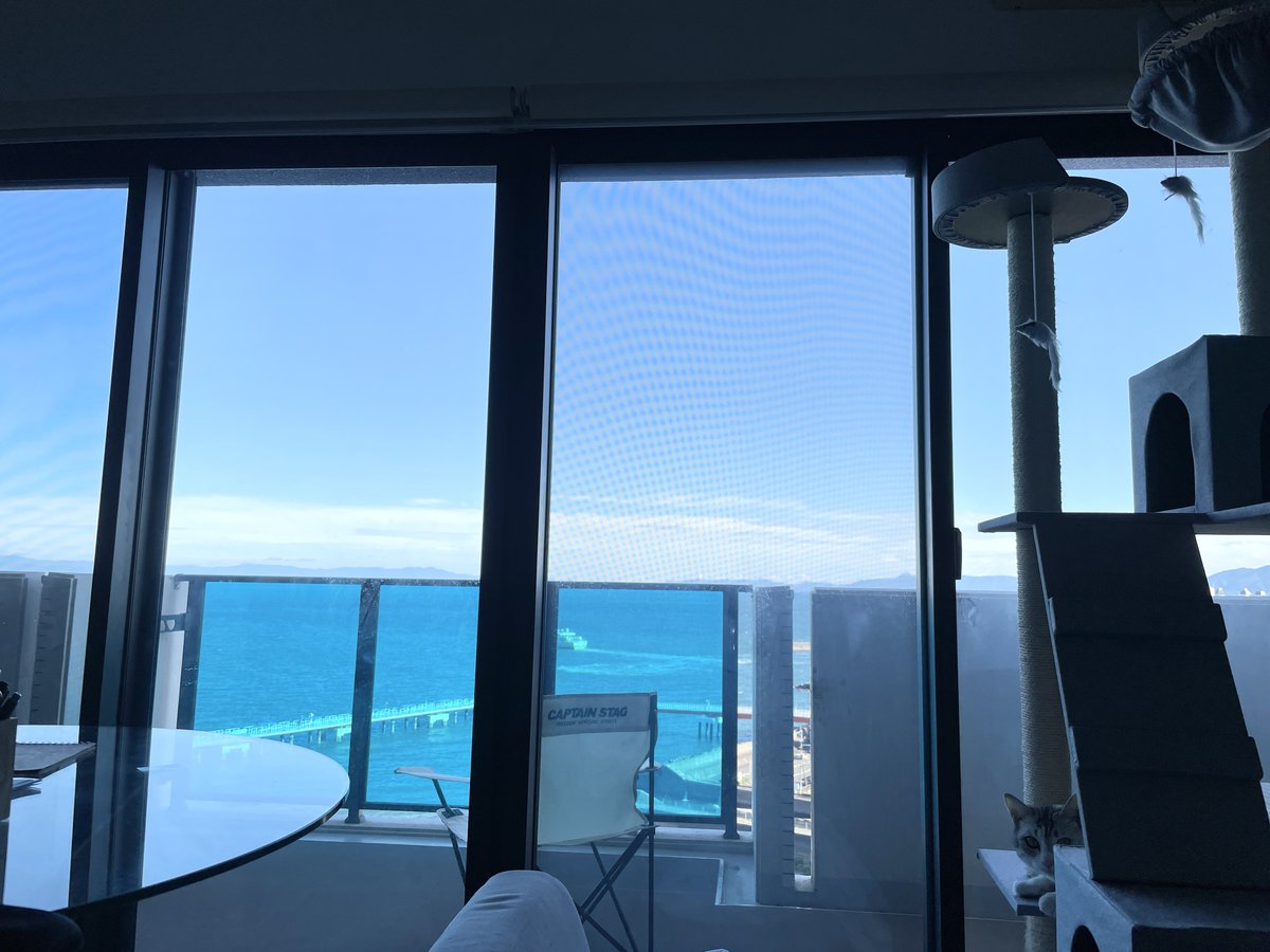 メイコ@お家マーケター育成 tweet media