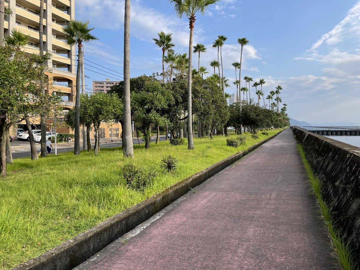 メイコ@お家マーケター育成 tweet media