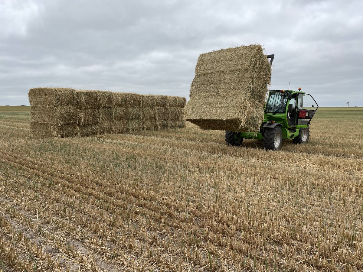 Norm jenzen tweet media