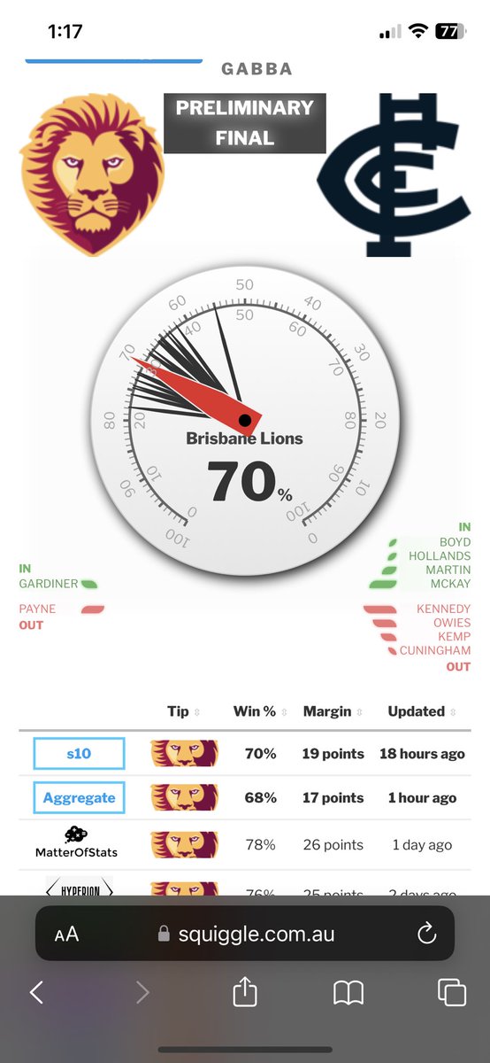 Loving this #AFL #AFLLionsBlues #AFLFinals #Baggers