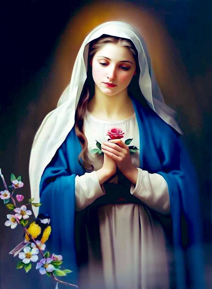 Jesús quiere encontrar "la tierra buena" de un “corazón bueno". La semilla es la Palabra salida del corazón de Dios, que necesita encontrar un “corazón bueno” como el de María, donde no haya tapujos ni dobleces.