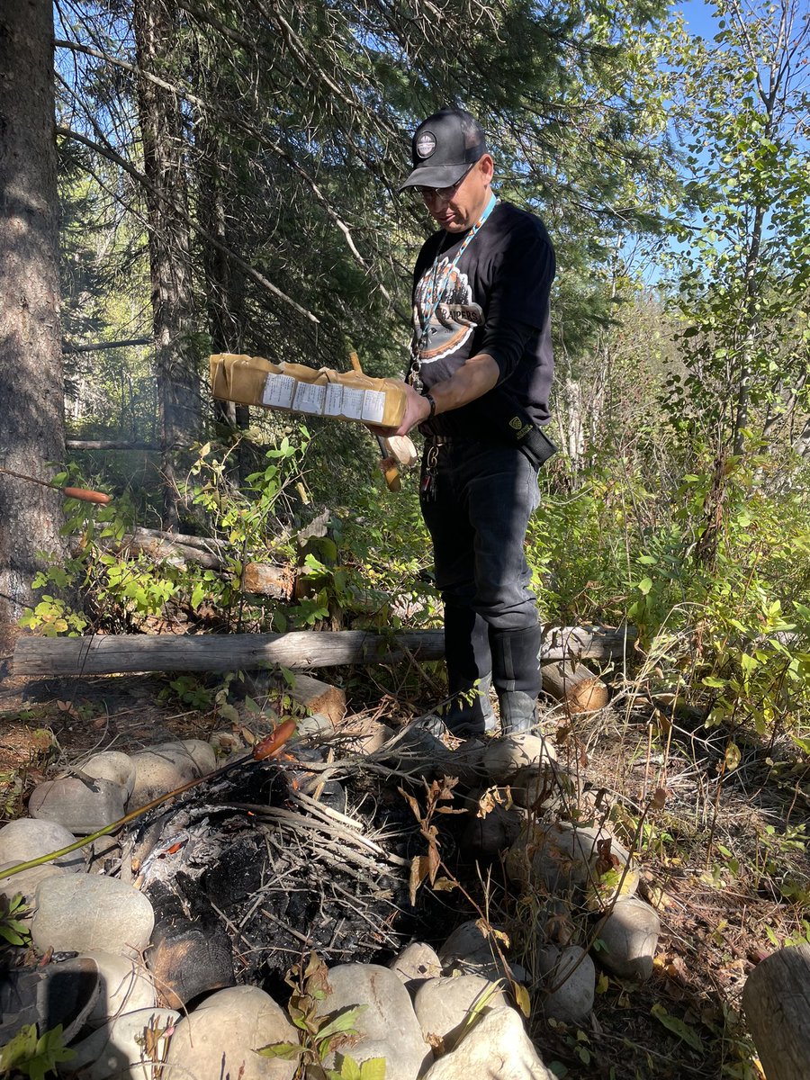 Dead Pine Collective tweet media