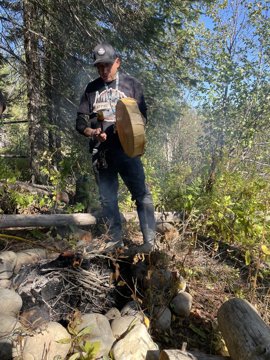 Dead Pine Collective tweet media