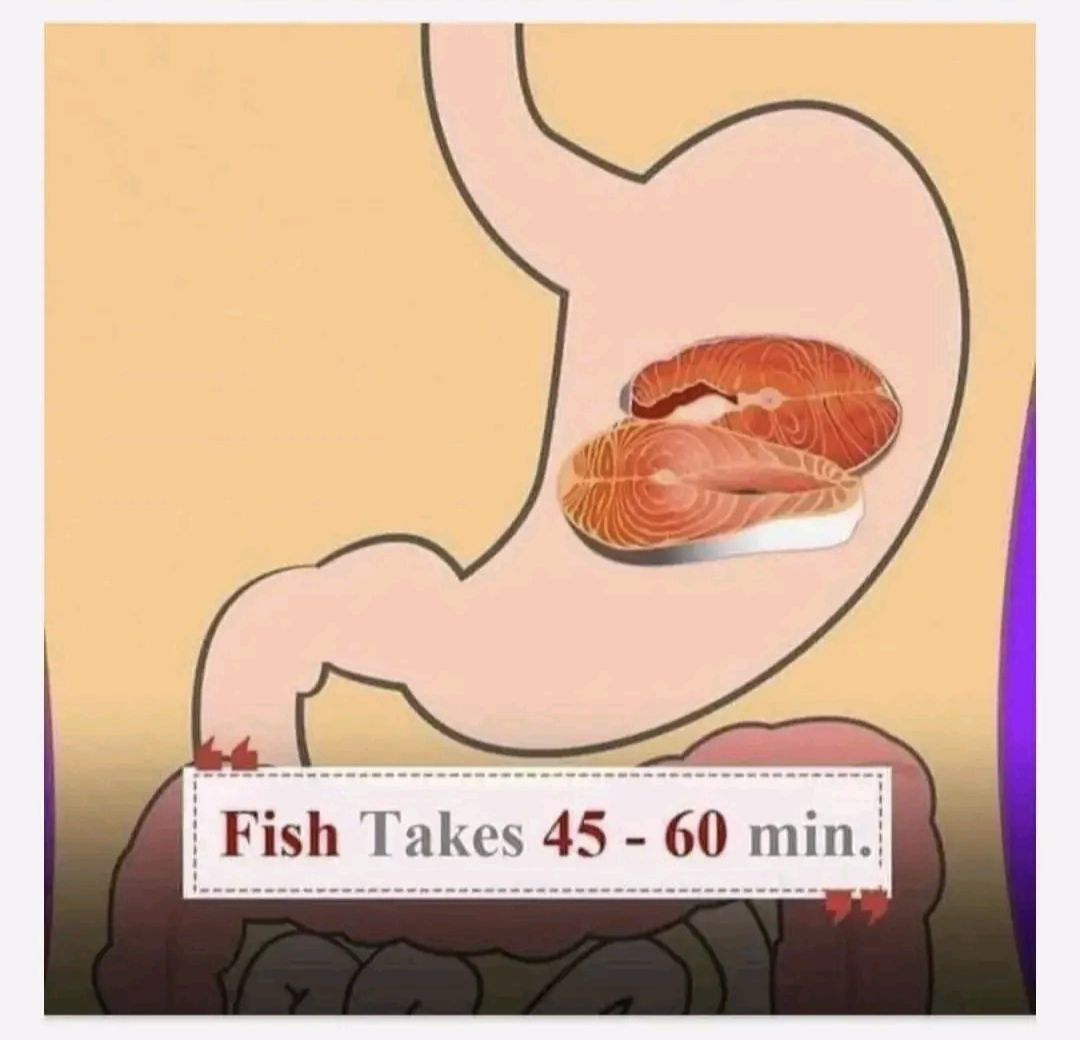 How Long Does It Take Digest Certain Foods ... 1. Potato - Thread from ...