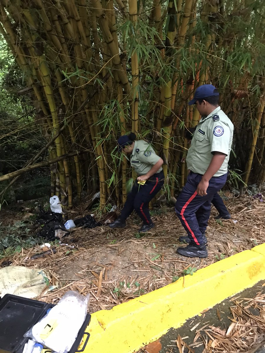 FBIsa21's tweet photo. DANTESCO!!! Hallan en la urbanización el Cigarral, subiendo por la trocha, a 6 perros de raza presuntamente asesinados. 
Policía del Municipio de El Hatillo y forense hacen acto de presencia y levantamiento de estos 6 caninos. 
#MaltratoAnimal #Venezuela https://t.co/mqOcqVIoOe