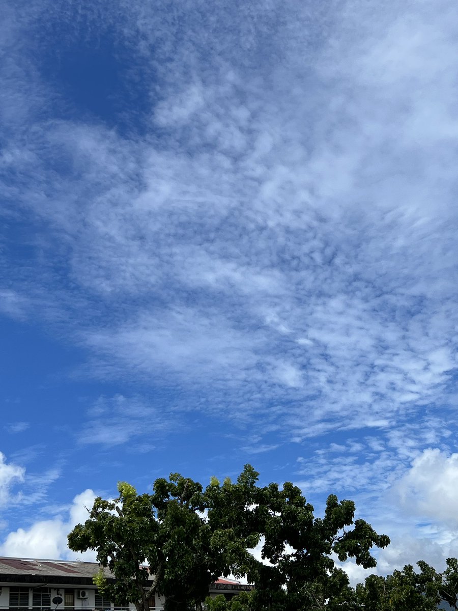s17shirley's tweet photo. #GM What is your morning view be like?

#shotoniphone #iPhone13ProMax https://t.co/AGfI0MG3Cw