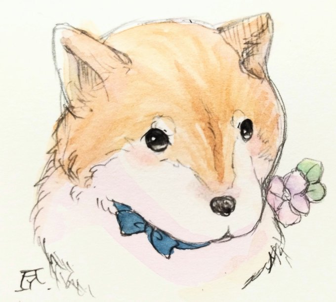 「flower shiba inu」 illustration images(Latest)