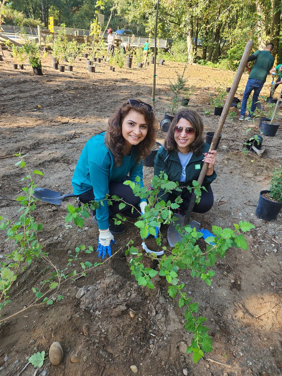 Team prospect helping to make a difference in our communities at TD Tree Days🌲 Beautiful day to plant 300 trees!💚💚💚 <a href="/juliearmour_td/">Julie Armour</a>
@CSir_TD <a href="/jtbains/">Jatinder Bains</a> <a href="/Maclak2/">Kathryn Maclaren</a>