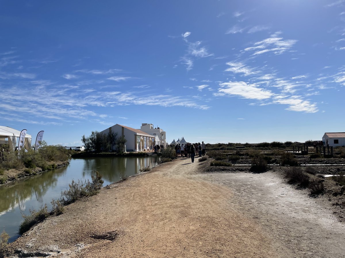 FCLP_Fundacio's tweet photo. 🌞Gaudeix del @DeltaBirdingF  #DBF23! 🌞
Avui gaudeix la novena edició del festival ornitològic més destacat de la Mediterrània. A #MónNaturaDelta, t'esperen emocionants activitats, sortides en vaixell i l'oportunitat de conèixer experts com Andy Swash, Rachel Bigsby i Dominic Couzens. T'esperem! 🦩🌿
No oblidis reservar la teva plaça al Delta Birding Festival a través d’aquest enllaç i gaudeix d'una experiència inoblidable! 
🎟️🌅https://t.co/WErAcKKTPT
🤝 Organitzat per @PedreraFundacio  @oryxnatura  @ICOcells  @Photo_Logistics