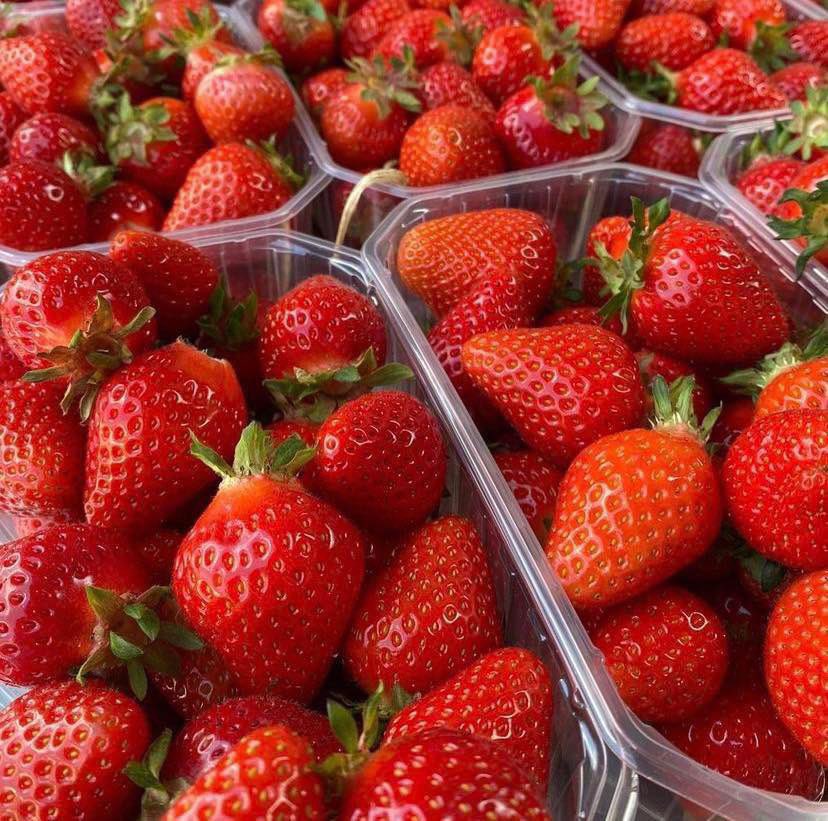 2/2: ☕️ Berries & Beans cafe - open today and tomorrow! ☕️
🌟 £4.00 per kg. Subject to availability. 🌟
👉 stanhillfarm.co.uk
#stanhillfarm #kentfarm #kent #kentpyo #pyo #pickyourown #strawberries #producedinkent #delicious