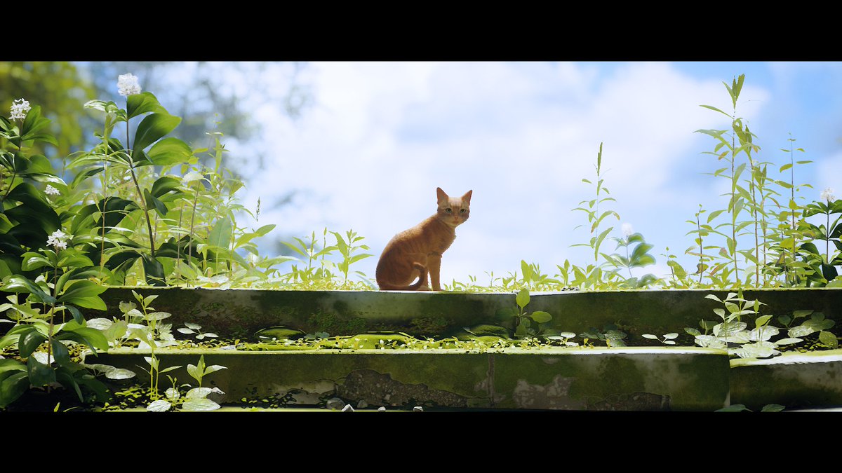 shouepsca's tweet photo. Vraiment génial ce jeu 🥰🥰 #Stray https://t.co/0epQyhUvcZ