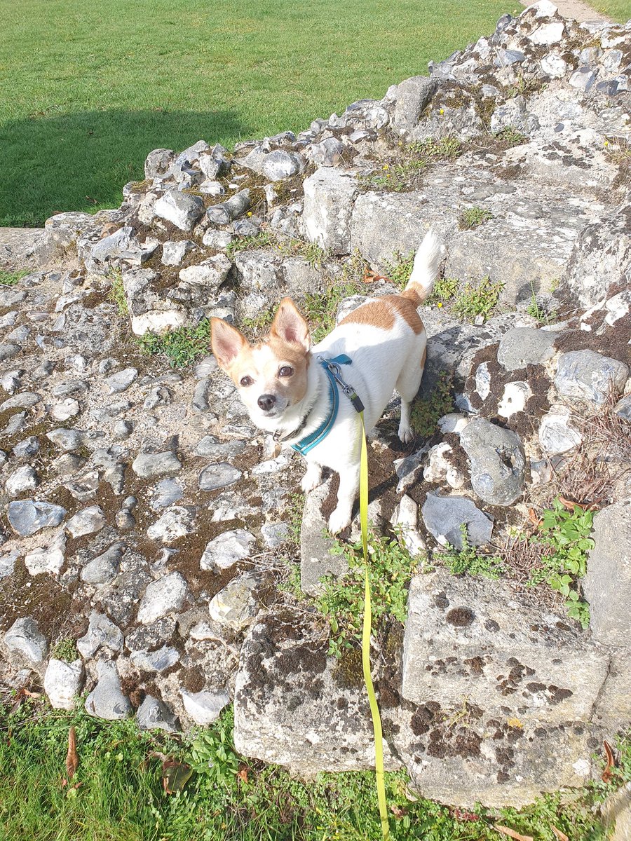 Kathryn Knock tweet media