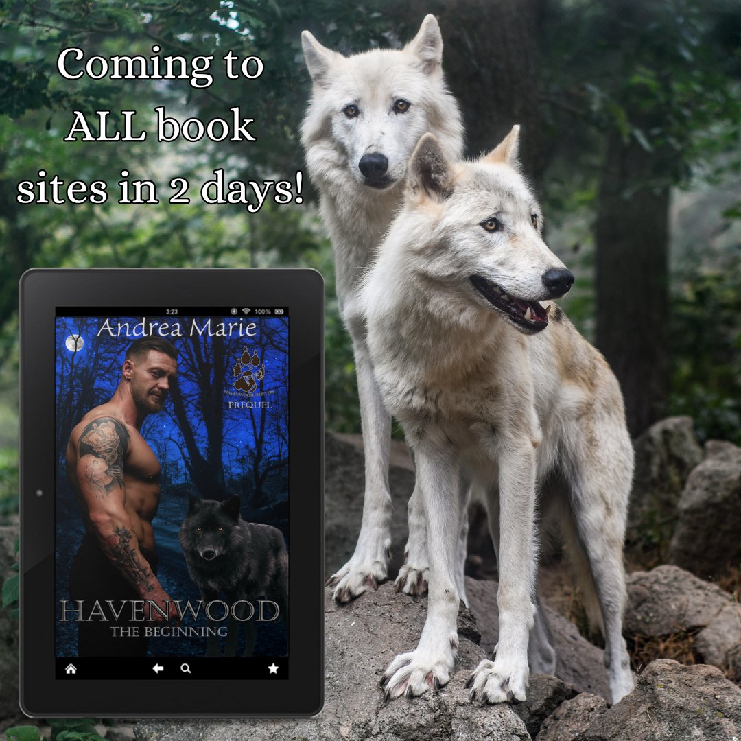 Andrea LeCras tweet media