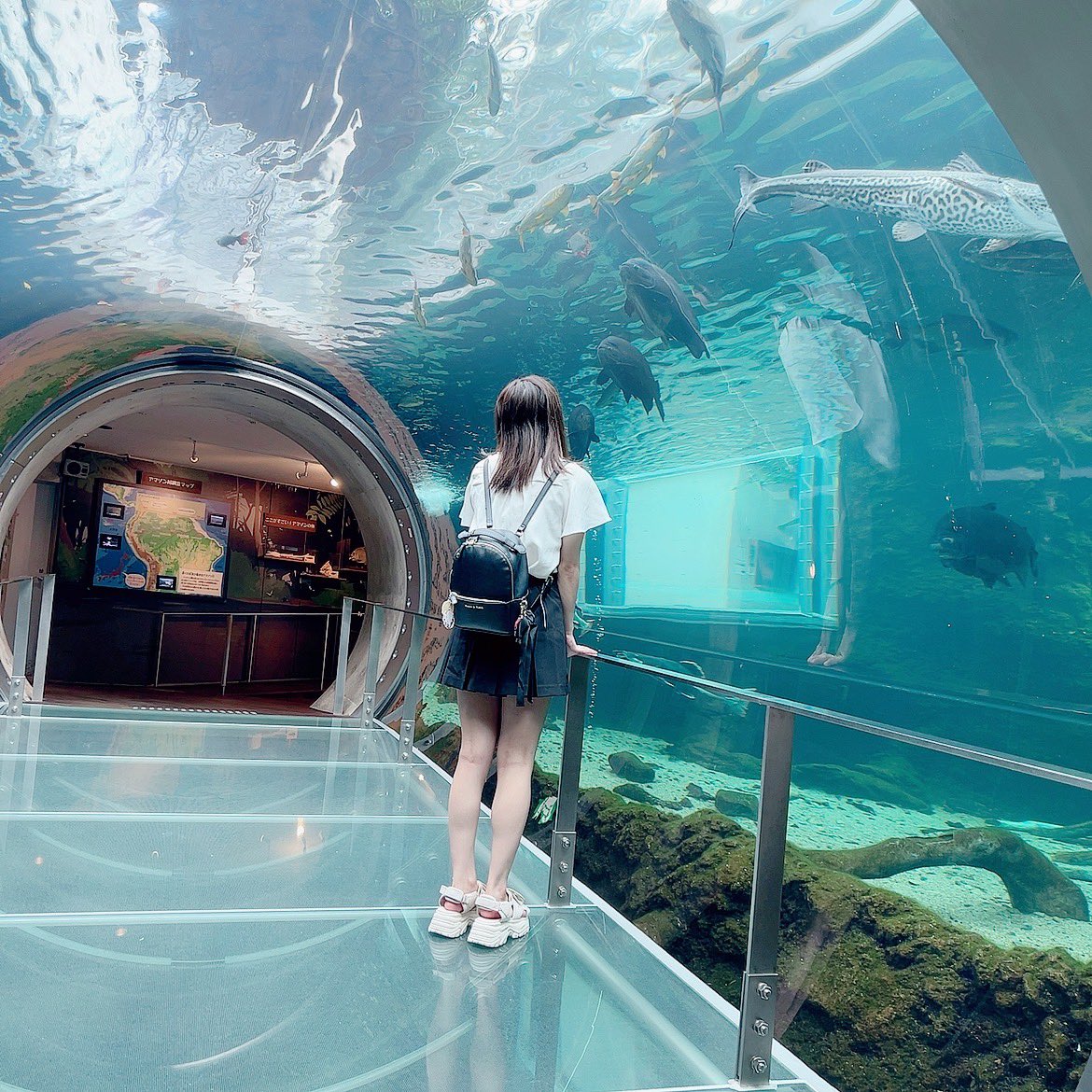 koretan_ayase's tweet photo. 水族館いっておいしいもの食べた🫶🏻 https://t.co/7XlrFIitZt