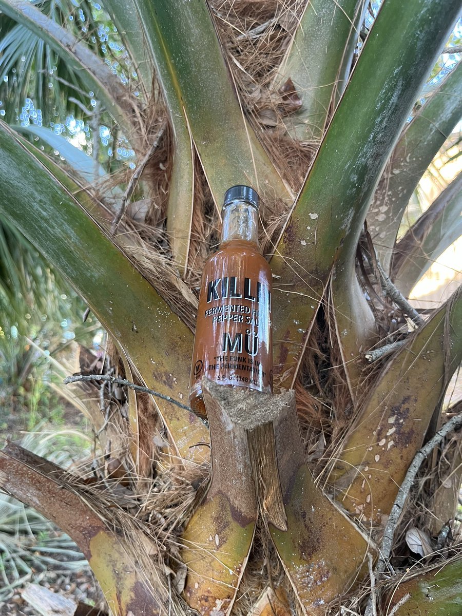 Killik Hot Sauce Company (@killikhsc) on Twitter photo 