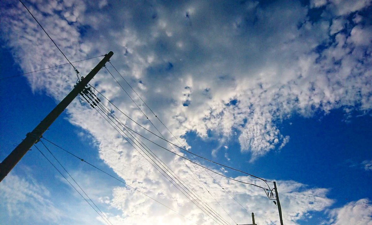 #雲 #空 #青空 #電線 #電線と空 ⁡
⁡#cloud #sky #bluesky #electricwire #skyphotography #photography #photo_jpn ⁡
⁡#カメラ好きな人と繋がりたい #写真好きな人と繋がりたい #写真撮ってる人と繋がりたい #空が好きな人と繋がりたい #キリトリセカイ #ファインダー越しの私の世界