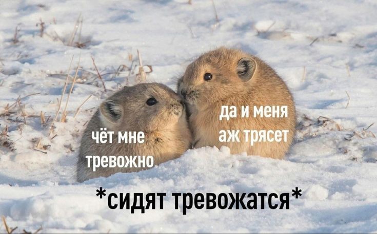 #поискмью ~ поиск мью

ася, ну или просто невезучий и неуклюжий человек, который часто болеет и страдает, что в мед колледж пошёл

кринж эт смысл жизни, а песни feline - новые антидепрессанты. 

жду, когда бп свалят из уг, а lapillus станут популярными

люблю гг, txt и нот кпоп