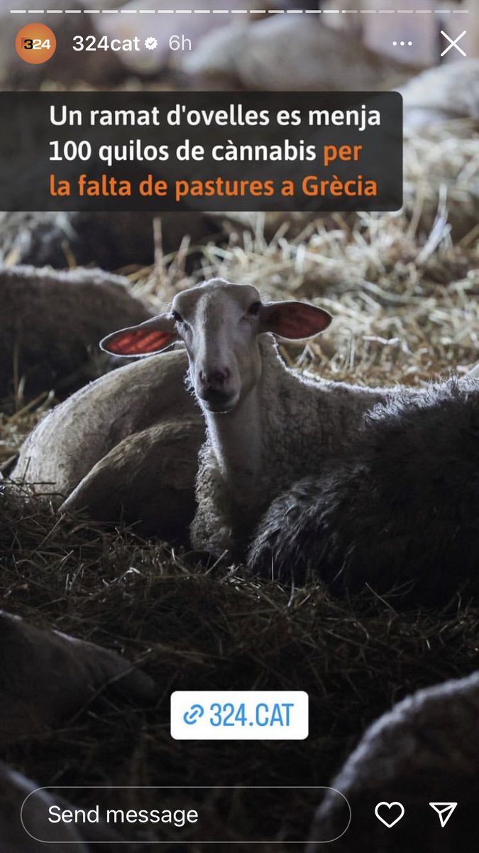 davidaipu's tweet photo. Cada cop estic més convençut que Alfonso Guerra i Felipe Gonzàlez estaven presentant el pamflet “La Rosa y las espinas” a Atenes! https://t.co/VmokEh5kIH