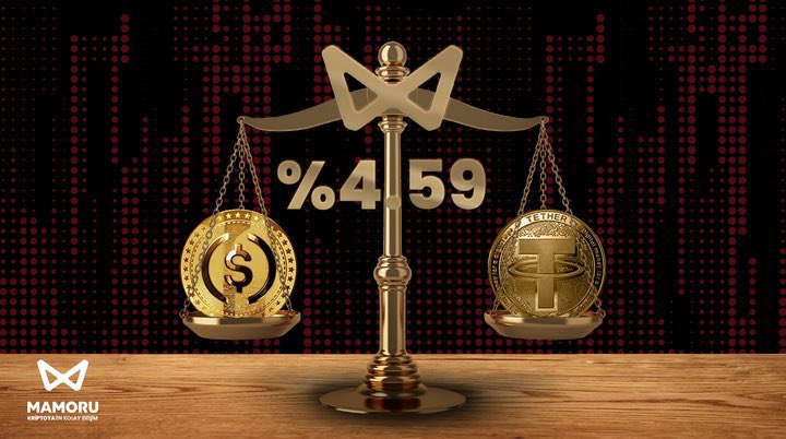 Mamoru Türkiye tweet media