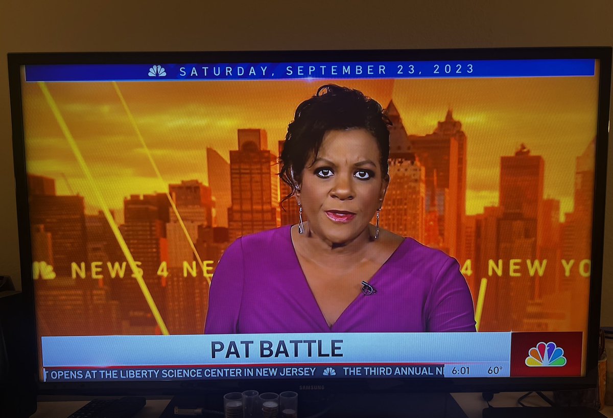 Good morning @PatBattle4NY just confirming it is Saturday. Hi to @Raphael4NY and @DavePriceTV and @PeiSzeCheng4NY Fall arrived rudely!!!!  Stay safe all.