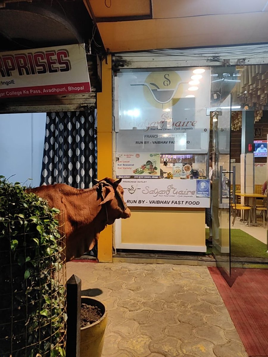 "Bhaiya, ek plate choole Poori laga do"

<a href="/GauPrem/">Cow Love ࿗</a> <a href="/Gannuuprem/">Gannuprem</a>