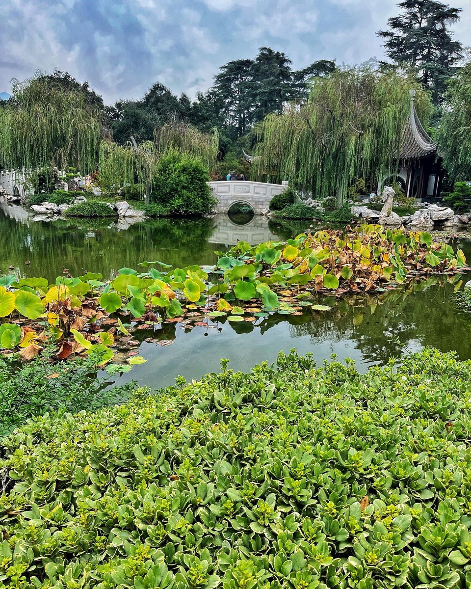 derrickahsam's tweet photo. Lovely day at @TheHuntington playing tour guide for my sis @deliatesi visiting LA for the first time…

#moredayslikethis… https://t.co/cinnBkt2tA