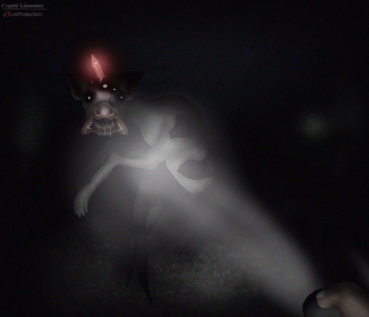Cryptid Laboratory (@XLabOldAcc) / Posts / X