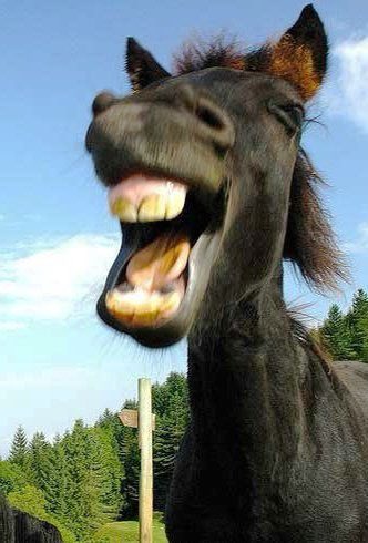 Gunetumeurantho's tweet image. Continuer à vous refaire les dents #stafftechnique #poupettekenza