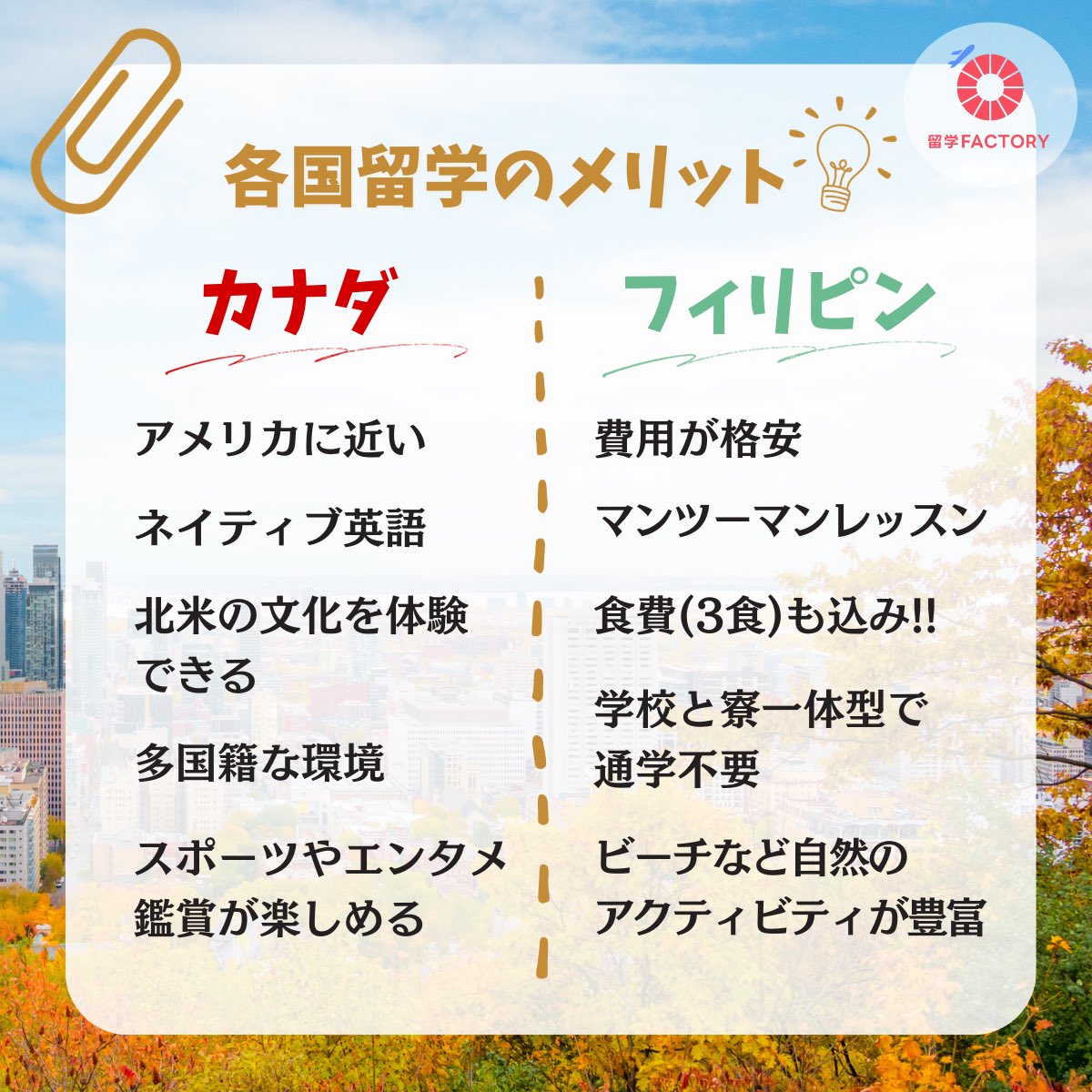 留学FACTORY【格安留学手配✈】 tweet media